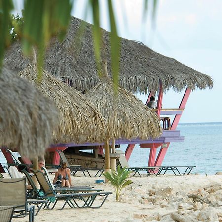 Divi Dutch Village Beach Resort Palm Beach Kültér fotó